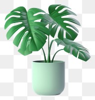 PNG Plant leaf white background houseplant. AI generated Image by rawpixel.