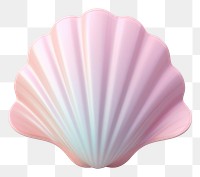 PNG Seashell clam white background invertebrate. AI generated Image by rawpixel.