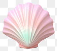 PNG Seashell clam white background invertebrate. AI generated Image by rawpixel.