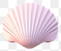 PNG Seashell clam white background invertebrate. AI generated Image by rawpixel.