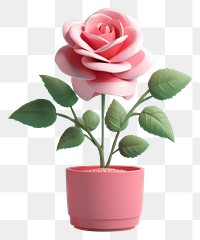 PNG  Plant rose flower inflorescence. AI generated Image by rawpixel.