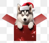PNG Christmas mammal animal husky. AI generated Image by rawpixel.