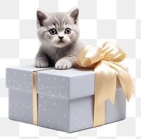 PNG Box mammal animal kitten. AI generated Image by rawpixel.