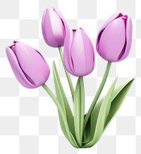 PNG Tulip blossom flower purple. 