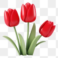 PNG Tulip flower plant red. 