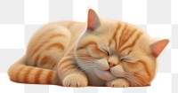 PNG Sleeping animal mammal kitten. AI generated Image by rawpixel.