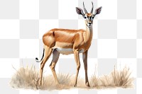 PNG Wildlife animal mammal herbivorous. AI generated Image by rawpixel.