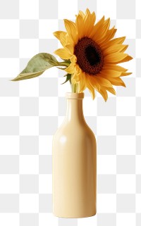 PNG Sunflower bottle plant vase. 