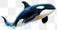 PNG Animal mammal whale underwater. AI generated Image by rawpixel.