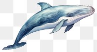 PNG Dolphin animal mammal whale. AI generated Image by rawpixel.