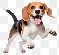 PNG Beagle animal mammal hound