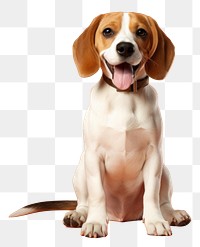 PNG Animal mammal beagle hound. 