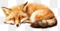 PNG Animal mammal fox relaxation. AI generated Image by rawpixel.