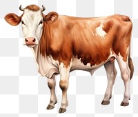 PNG Livestock mammal cattle animal. AI generated Image by rawpixel.