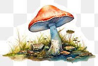 PNG watercolor illustration of a mushroom, isolate illustration on paper --ar 3:2