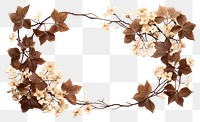 PNG Flower plant leaf accessories. AI generated Image by rawpixel.