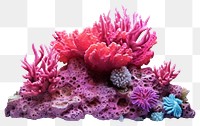 PNG Aquarium nature reef sea. AI generated Image by rawpixel.