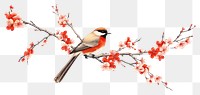 PNG Bird branch flower animal. 