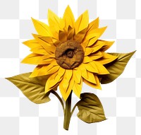 PNG Sunflower plant inflorescence asterales. AI generated Image by rawpixel.