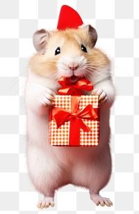 PNG Hamster christmas portrait rodent transparent background