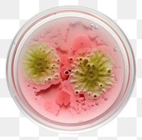 PNG Food freshness smoothie biology. AI generated Image by rawpixel.