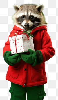 PNG Raccoon christmas portrait holding transparent background