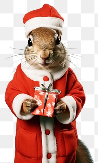 PNG Christmas squirrel portrait holding transparent background