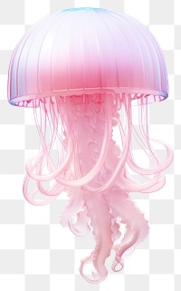 PNG Jellyfish transparent background invertebrate translucent. 