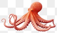 PNG Octopus animal invertebrate cephalopod. 