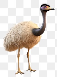 PNG Ostrich animal bird beak. 