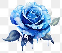 PNG Rose flower plant blue transparent background