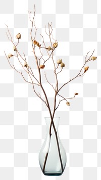 PNG Vase decoration branch flower transparent background