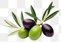 PNG Olive fruit plant food. 