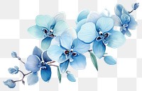 PNG Flower orchid plant blue transparent background