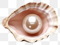PNG Jewelry shellfish accessory seashell. AI generated Image by rawpixel.