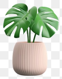 PNG Plant leaf vase  