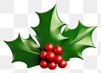 PNG Leaf christmas holly plant. 