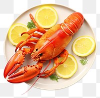 PNG Lobster seafood animal lemon. AI generated Image by rawpixel.