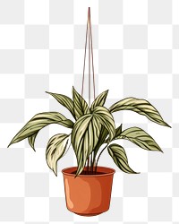 PNG Plant hanging leaf houseplant transparent background