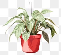 PNG Plant leaf houseplant freshness transparent background