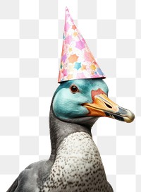 PNG Animal bird celebration anniversary. AI generated Image by rawpixel.