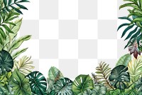PNG Tropical leaves border backgrounds outdoors tropics. AI generated Image by rawpixel.