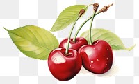 PNG Cherry fruit plant food. 