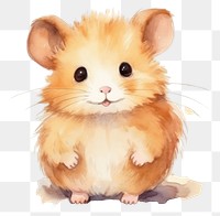 PNG Hamster rat rodent mammal transparent background