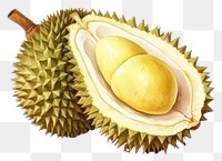 PNG Durian fruit plant food. AI generated Image by rawpixel.
