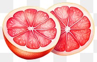 PNG Grapefruit plant food transparent background. 