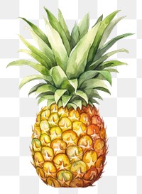 PNG Pineapple fruit plant food. 