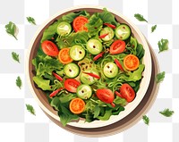 PNG Vegetable salad plant food transparent background