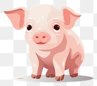 PNG Pig mammal animal piglet transparent background