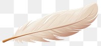 PNG Feather lightweight accessories transparent background